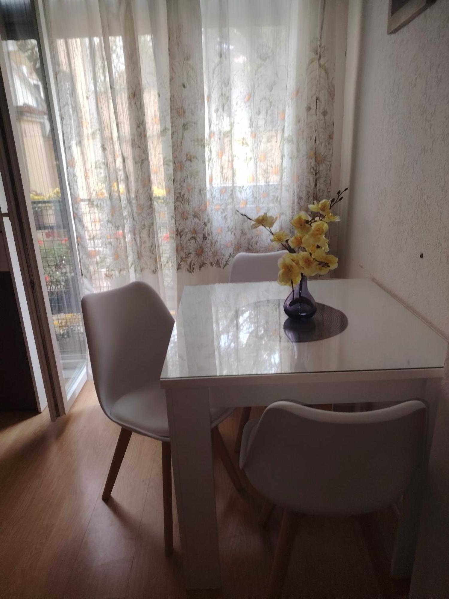 Cozy Max Studio 야고디나 외부 사진